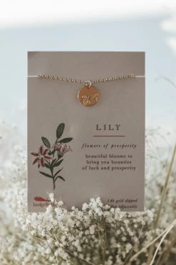 LUCKY FEATHER 14K GOLD BOTANICAL NECKLACE · LILY LIFESTYLE