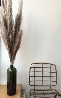 ACCENT DECOR PAMPAS GRASS · 47