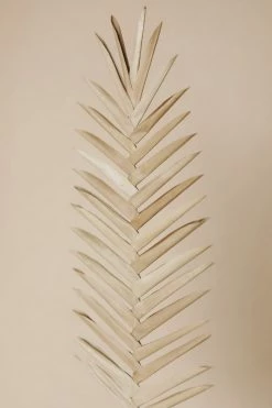 CREATIVE CO-OP BURI PALM PICK · 39