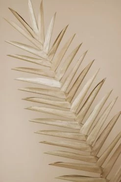 CREATIVE CO-OP BURI PALM PICK · 39