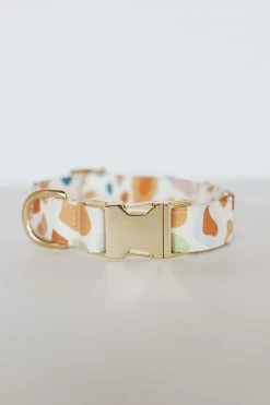 THE FOGGY DOG TERRAZZO DOG COLLAR LIFESTYLE