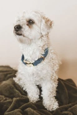 THE FOGGY DOG HARBOR PLAID FLANNEL DOG COLLAR