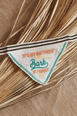 SANTA BARBARA DESIGN STUDIO PET BANDANA · IT'S MY BIRTHDAY