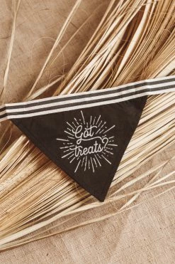 SANTA BARBARA DESIGN STUDIO PET BANDANA · GOT TREATS?