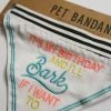 SANTA BARBARA DESIGN STUDIO PET BANDANA · IT'S MY BIRTHDAY