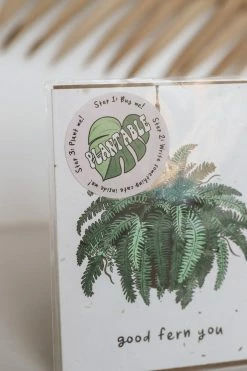 PARTY MOUNTAIN PAPER CO. GOOD FERN YOU CARD LIFESTYLE
