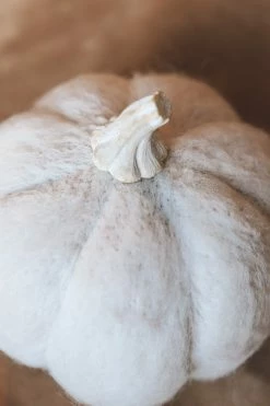 CREATIVE CO OP Home WOOL PUMPKIN DECOR · LARGE