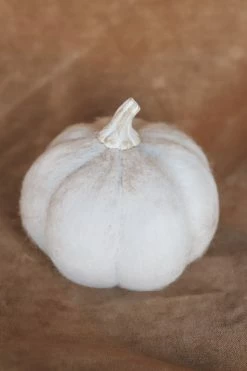 CREATIVE CO OP Home WOOL PUMPKIN DECOR · LARGE