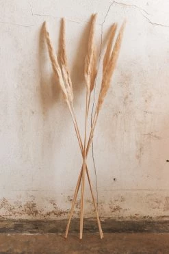ACCENT DECOR Home PAMPAS GRASS DECOR