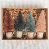 CREATIVE CO OP MINI BOTTLE BRUSH TREE DECOR SET Home