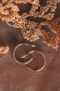 THE LUCKY COLLECTIVE ACCESSORIES DRIED FLOWER CHUNKY ACRYCLIC HOOPS