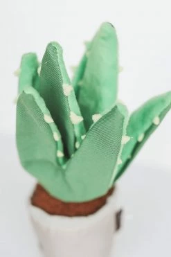 P.L.A.Y. PET LIFESTYLE & YOU ALOE-VE YOU PLANT DOG TOY For Pets