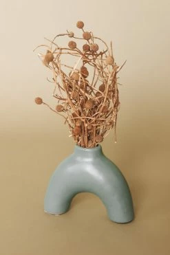 CREATIVE CO-OP Home DRIED BORA STEM BUNCH