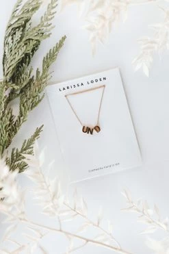LARISSA LODEN UND CHARM NECKLACE · 24K GOLD State Pride