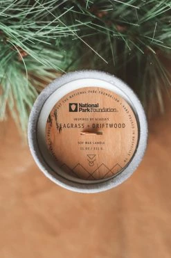 PADDYWAX ACADIA NATIONAL PARK CERAMIC CANDLE · SEAGRASS + DRIFTWOOD Home