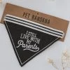 SANTA BARBARA DESIGN STUDIO PET BANDANA · LIVE WITH MY PARENTS For Pets