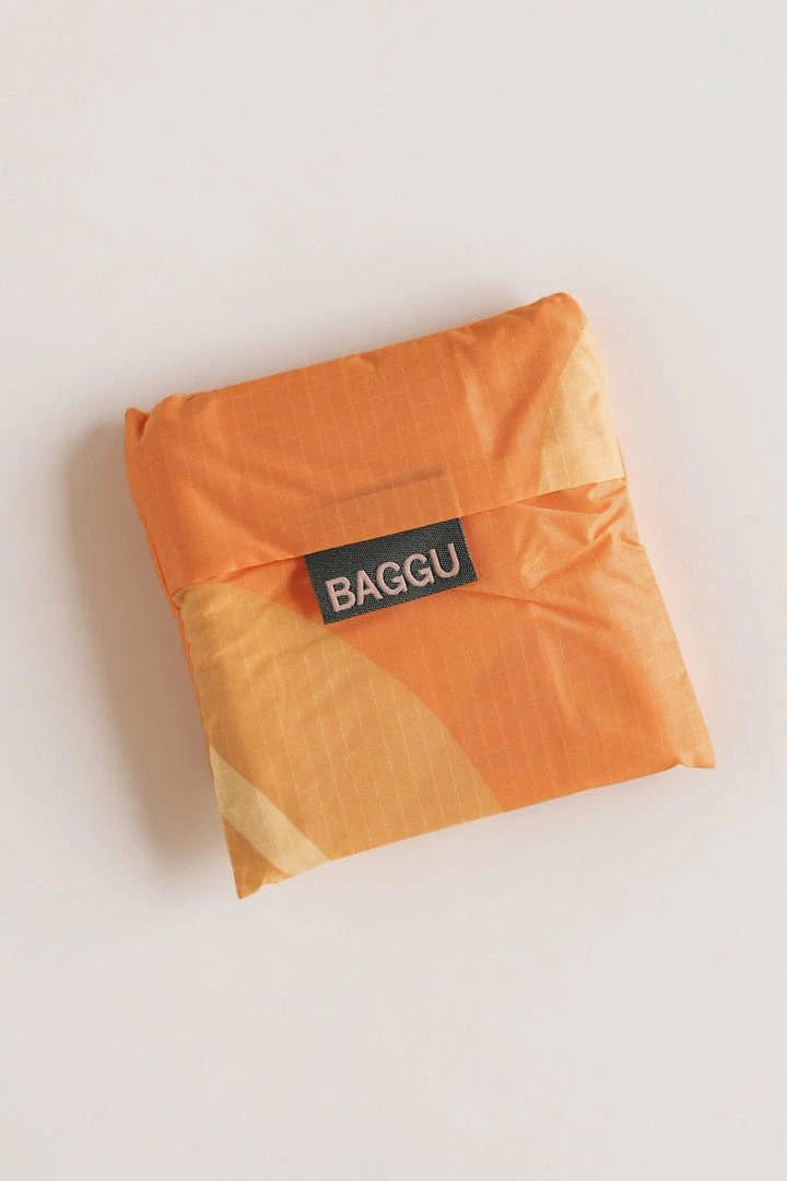 ACCESSORIES BAGGU REUSABLE BAG · FRUITS + FLORALS 5 ACCESSORIES BAGGU REUSABLE BAG · FRUITS + FLORALS