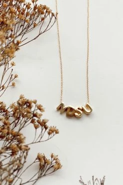 LARISSA LODEN NDSU CHARM NECKLACE · 24K GOLD State Pride