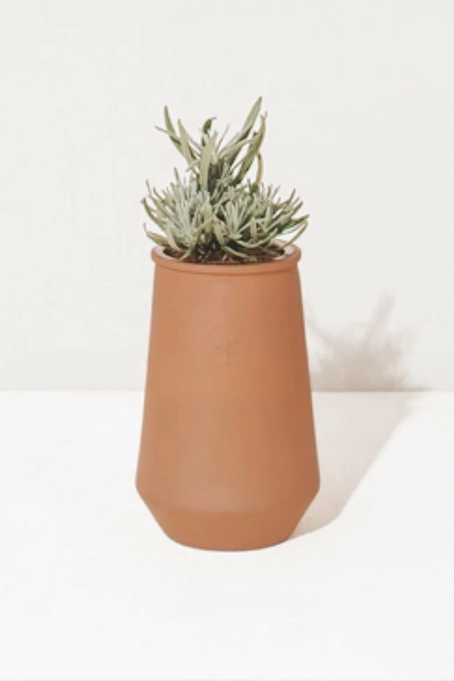 MODERN SPROUT TAPERED TUMBLER GROW KIT · LAVENDER Home 3 MODERN SPROUT TAPERED TUMBLER GROW KIT · LAVENDER Home