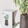 MODERN SPROUT TAPERED TUMBLER GROW KIT · BASIL Home