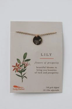 LUCKY FEATHER 14K GOLD BOTANICAL NECKLACE · LILY LIFESTYLE