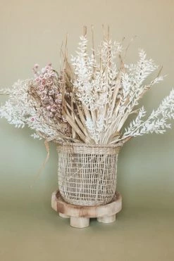 BLOOMINGVILLE PAULOWNIA FOOTED PEDESTAL Home