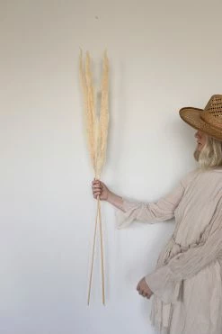 ACCENT DECOR PAMPAS GRASS · 47"-53"