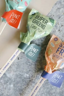 MODERN SPROUT CULINARY SEED POPS Home