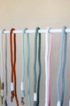 SASSY WOOF ROPE LEASH · AZUL